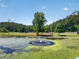 3463 County Road 3 - Photo 87