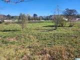 316 Highway 47 - Photo 1