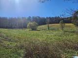316 Highway 47 - Photo 3