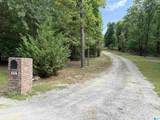 613 Treetop Lane - Photo 59