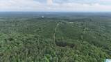 0 Skyview Lake Road - Photo 10