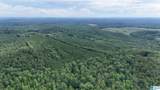 0 Skyview Lake Road - Photo 13
