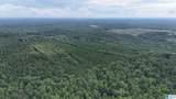 0 Skyview Lake Road - Photo 14