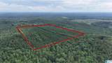 0 Skyview Lake Road - Photo 2
