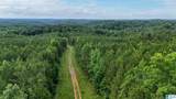 0 Skyview Lake Road - Photo 5