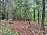 214 Honey Acres - Photo 4