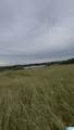 121 Black Bottom Road - Photo 1