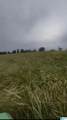 121 Black Bottom Road - Photo 2