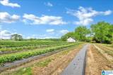 900 County Road 1466 - Photo 10