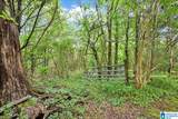 900 County Road 1466 - Photo 15