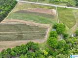 900 County Road 1466 - Photo 26