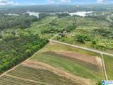 900 County Road 1466 - Photo 30