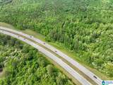 900 County Road 1466 - Photo 43