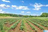 900 County Road 1466 - Photo 8