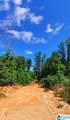20 Acres County Road 123 - Photo 1