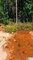 20 Acres County Road 123 - Photo 2