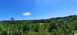 20 Acres County Road 123 - Photo 4