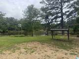 4579 Cabin Road - Photo 3