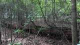 1 Ac+/- Coosada Road - Photo 9