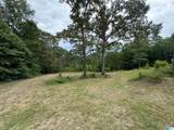 3917 County Road 1113 - Photo 2