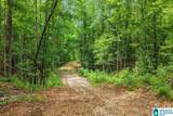 609 Black Horse Run - Photo 18
