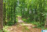 609 Black Horse Run - Photo 21