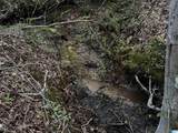 0 County Road 87 - Photo 12