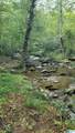  County Road 4 - Photo 6