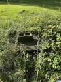  Echo Trail - Photo 5