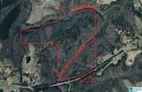 91 Acres County Road 1043 - Photo 1