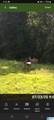 0 Highway 82 - Photo 10