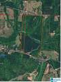 12482 County Road 19 - Photo 11