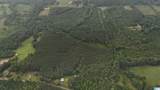 12482 County Road 19 - Photo 3