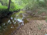 12482 County Road 19 - Photo 5
