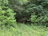 12482 County Road 19 - Photo 9