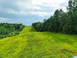  County Road 520 - Photo 11