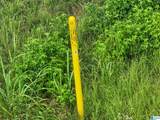  County Road 520 - Photo 14