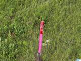  County Road 520 - Photo 9