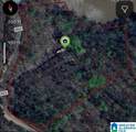 1716 County Road 465 - Photo 4