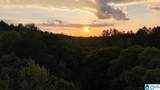 90 County Road 478 - Photo 2