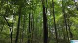 90 County Road 478 - Photo 7