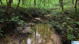 90 County Road 478 - Photo 8