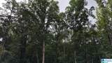 90 County Road 478 - Photo 9
