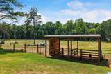 6717 Highway 71 - Photo 14