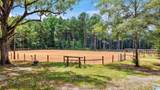 6717 Highway 71 - Photo 18