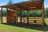 6717 Highway 71 - Photo 6
