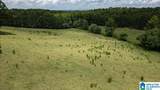 0 County Road 19 - Photo 28