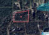 45 Coosa View Lane - Photo 1