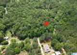 45 Coosa View Lane - Photo 5