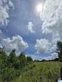 0 County Road 454 - Photo 12